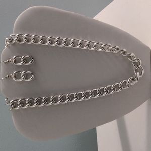 Beautiful Silver Tone Necklace with Toggle Clasp and Matching Drop Earrings